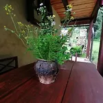 Holiday home House Voukov Mlin Smarje pri Jelsah