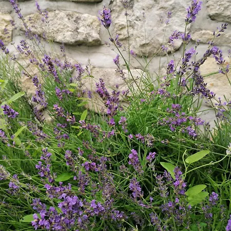 Casa de Férias House Voukov Mlin