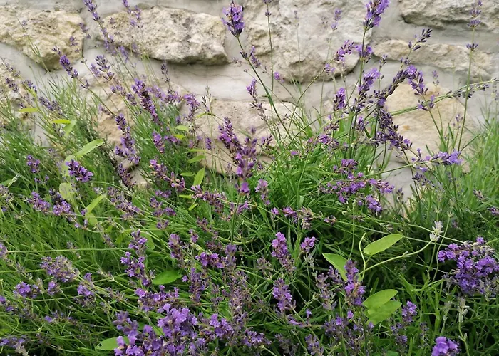 Vakantiehuis House Voukov Mlin